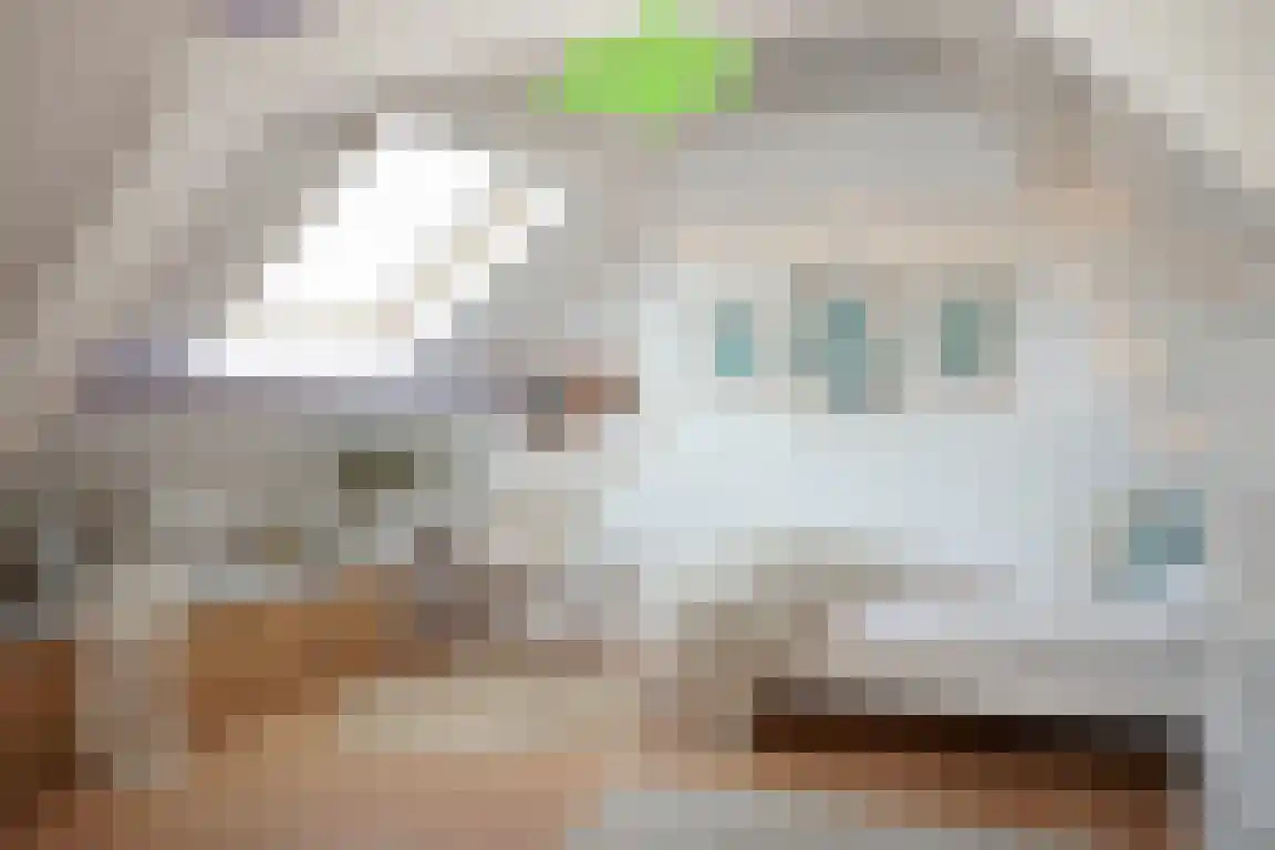 Molenwater 21 Breskens thumbnail 29
