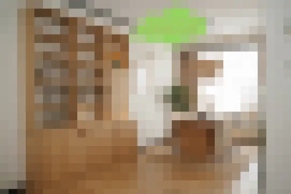 Molenwater 21 Breskens thumbnail 4