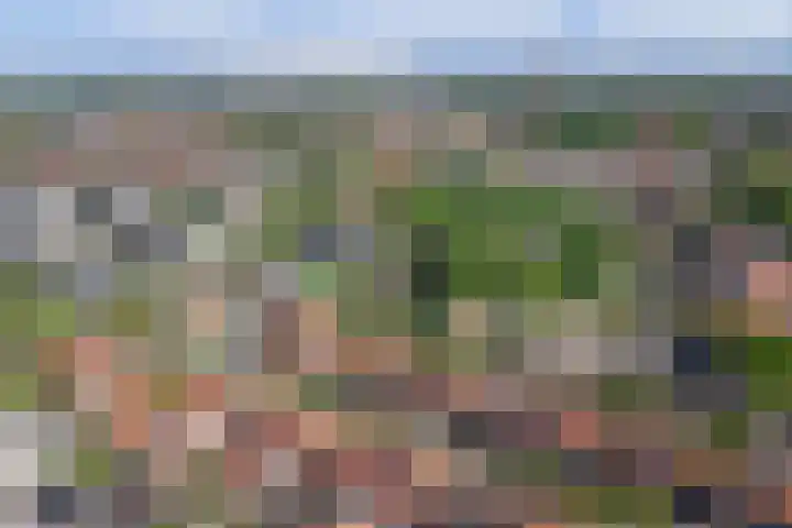 Molenwater 4 Kapelle thumbnail 40
