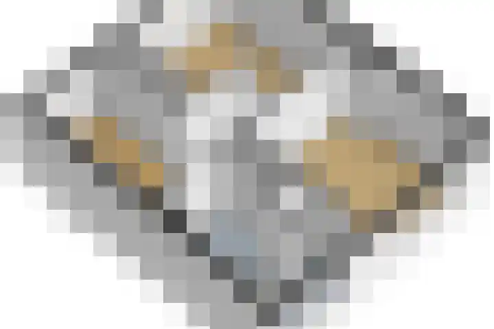 Molenwater 4 Kapelle thumbnail 49