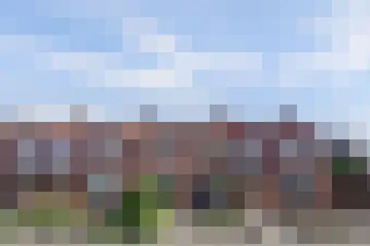 Molenwater 4 Kapelle thumbnail 52