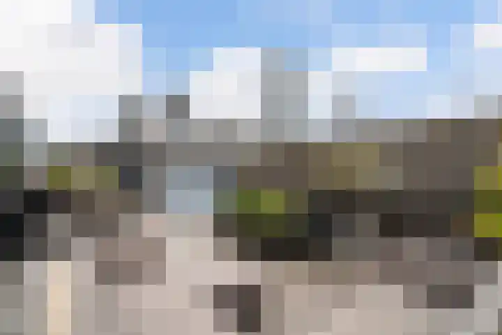 Molenwaterweg 40 A Rotterdam thumbnail 4