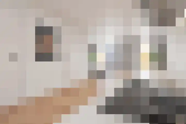 Molenweg 1 A Arnemuiden thumbnail 13