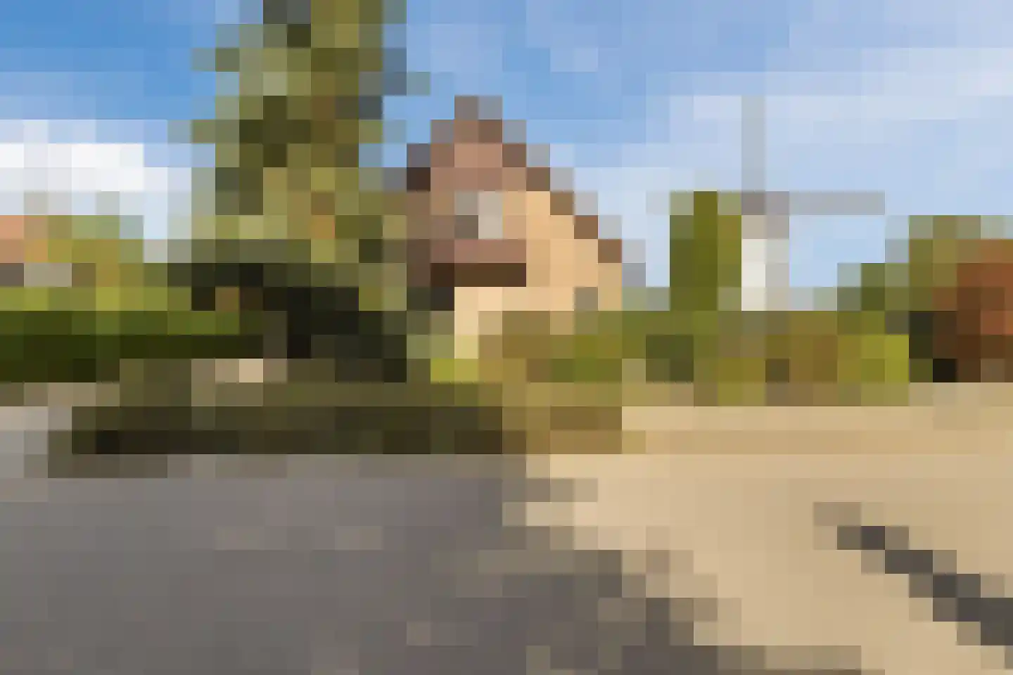 Molenweg 1 A Arnhem thumbnail 10
