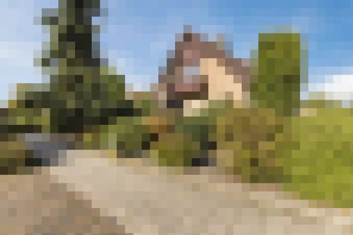 Molenweg 1 A Arnhem thumbnail 14