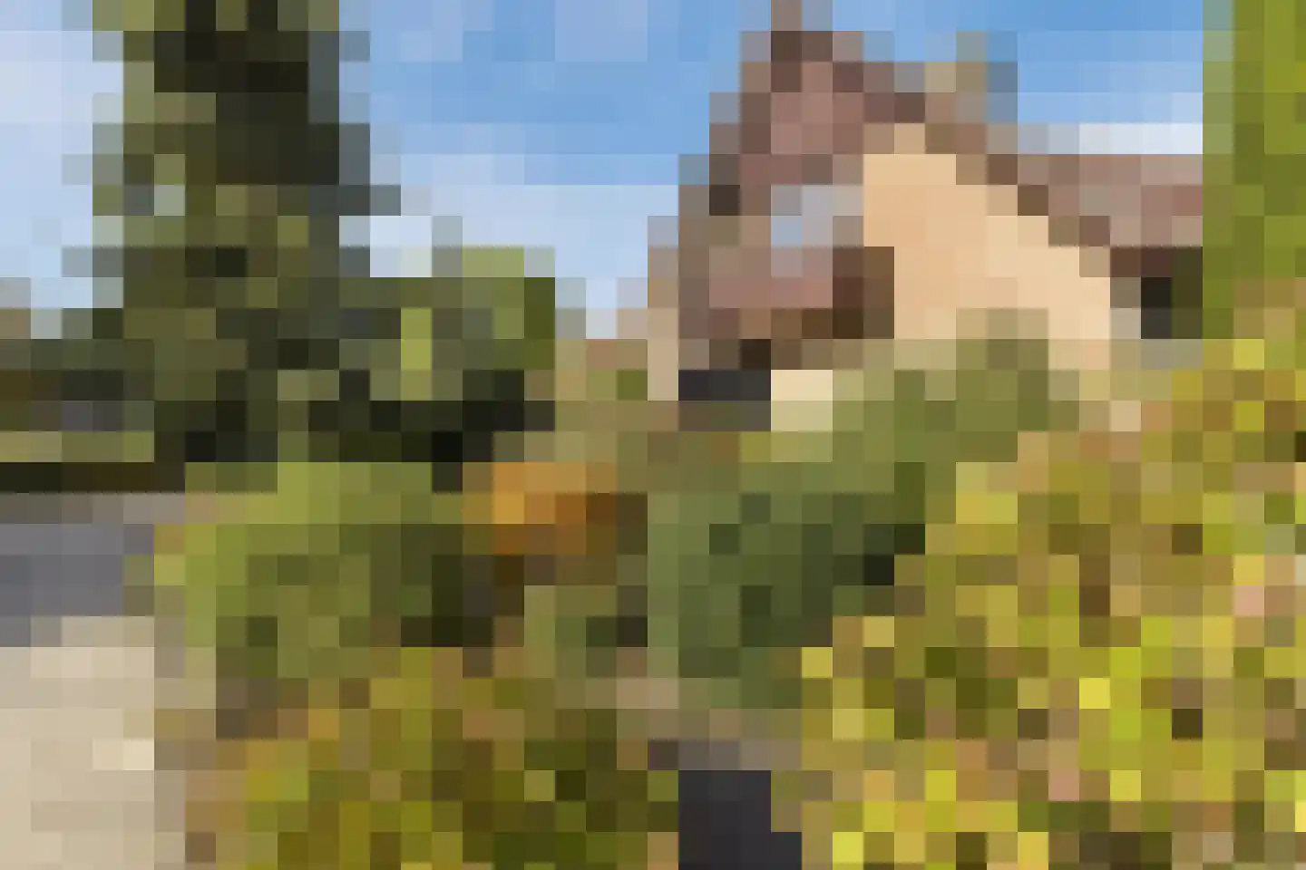 Molenweg 1 A Arnhem thumbnail 15