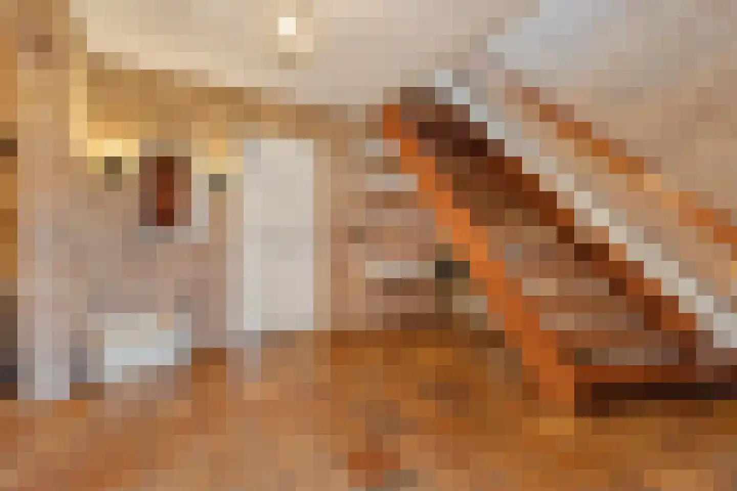 Molenweg 1 A Arnhem thumbnail 20