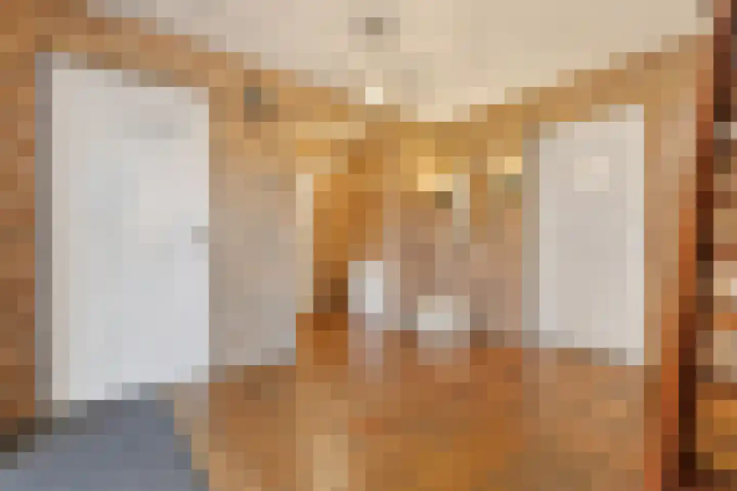 Molenweg 1 A Arnhem thumbnail 22