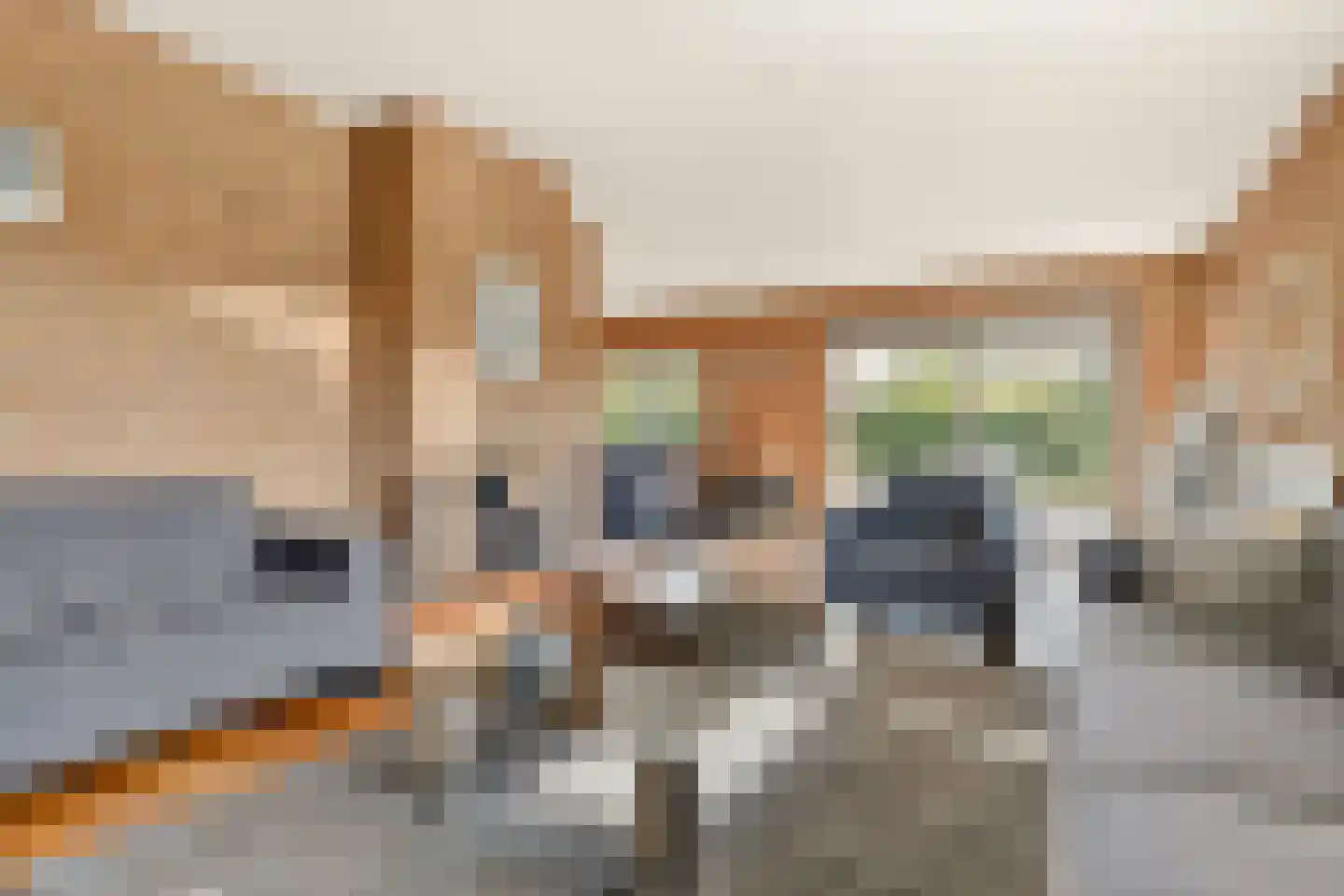 Molenweg 1 A Arnhem thumbnail 31