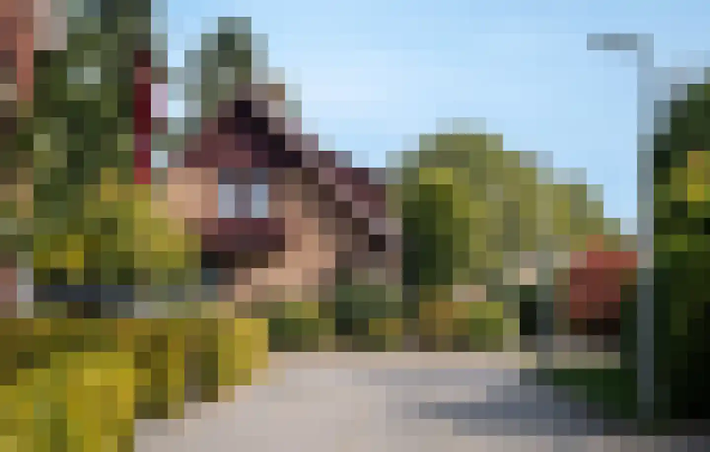Molenweg 1 A Arnhem thumbnail 4