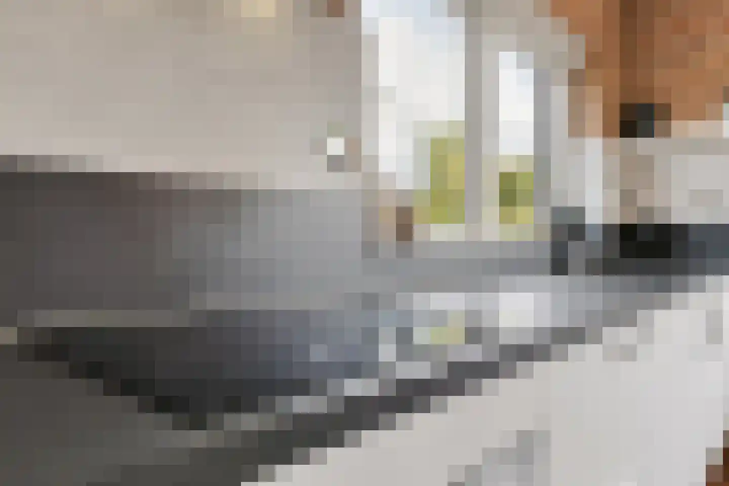 Molenweg 1 A Arnhem thumbnail 44