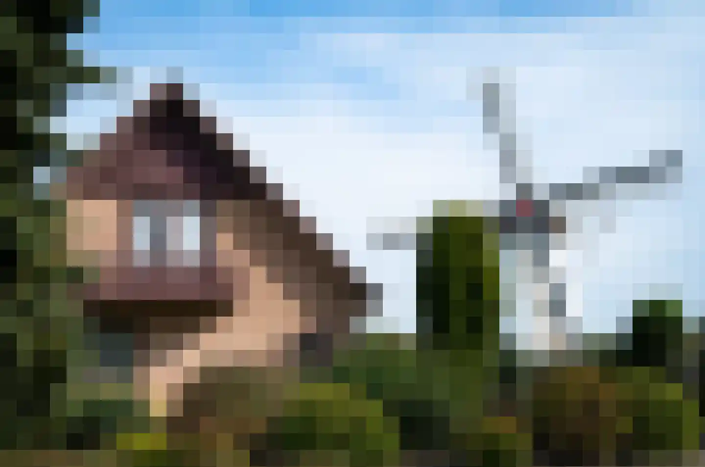 Molenweg 1 A Arnhem thumbnail 5