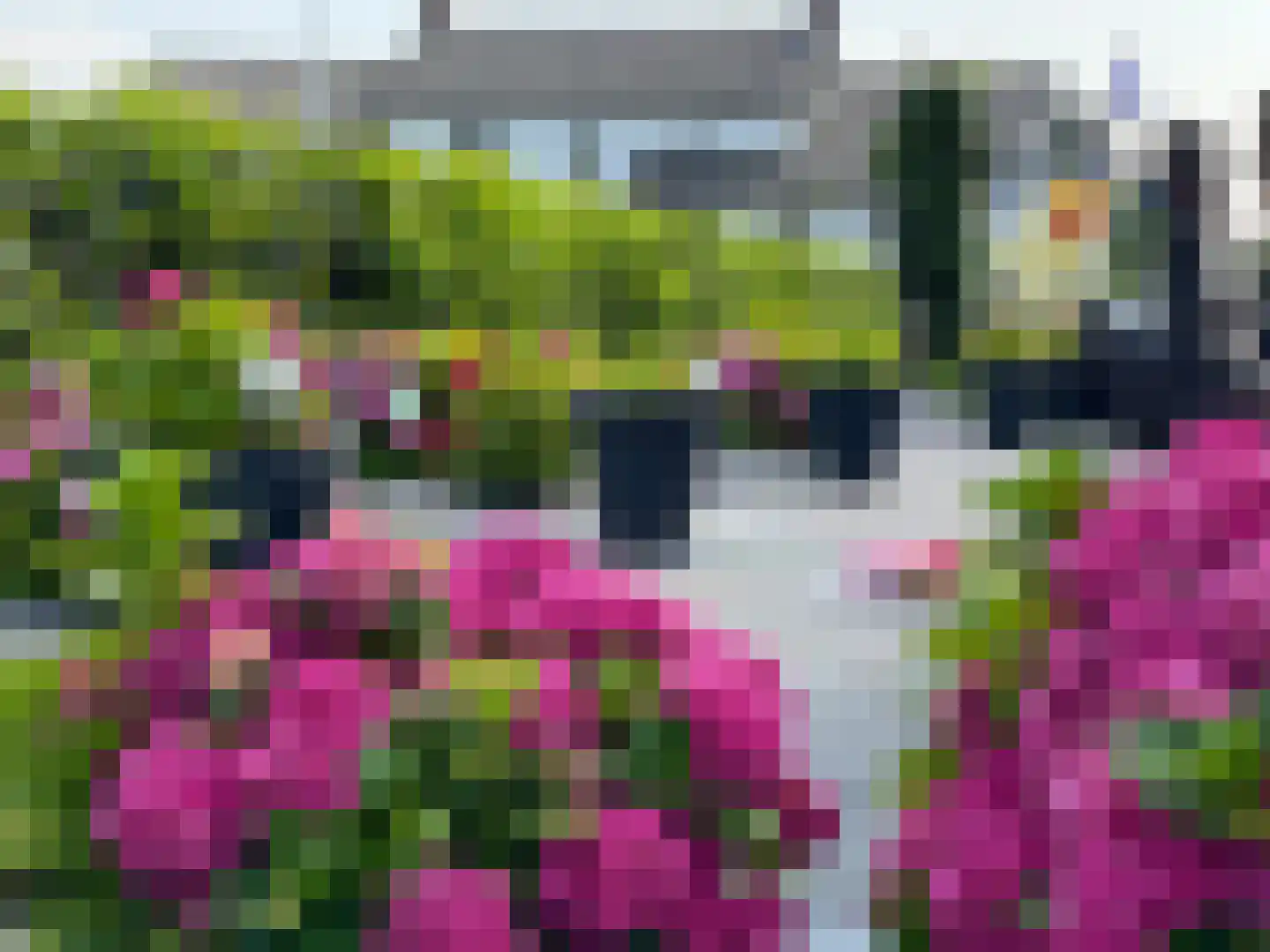 Molenweg 1 A Arnhem thumbnail 6