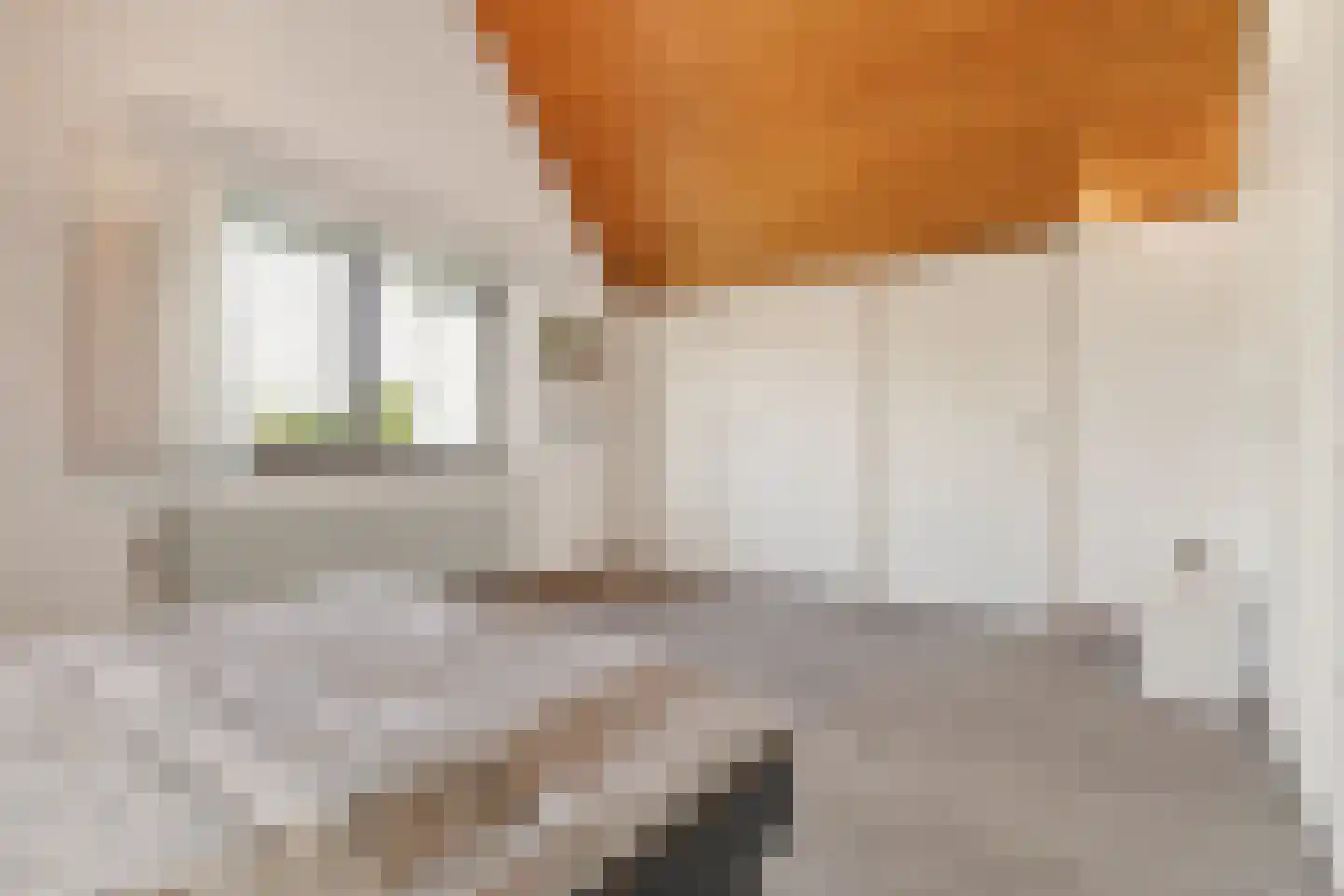 Molenweg 1 A Arnhem thumbnail 68