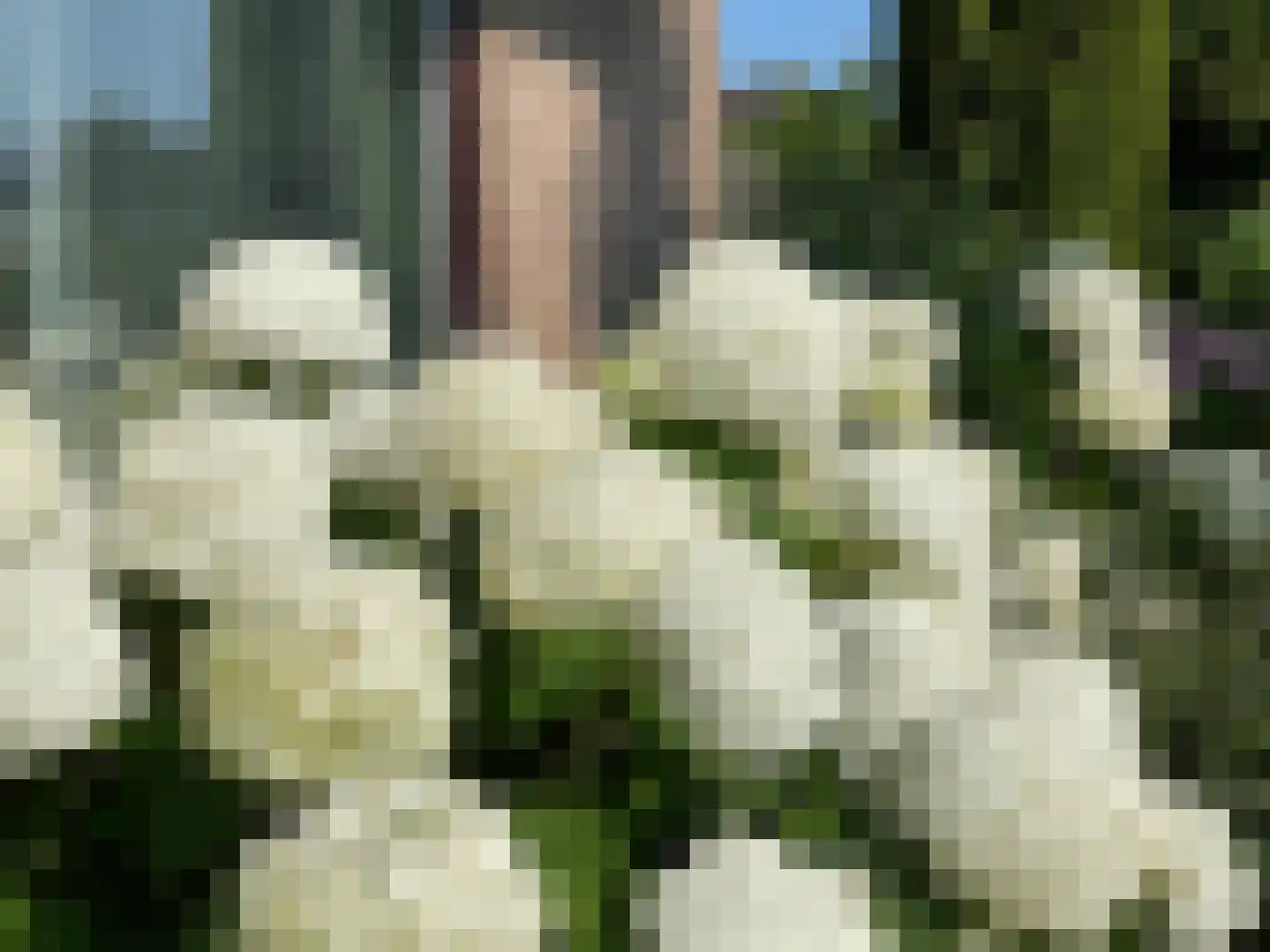 Molenweg 1 A Arnhem thumbnail 7