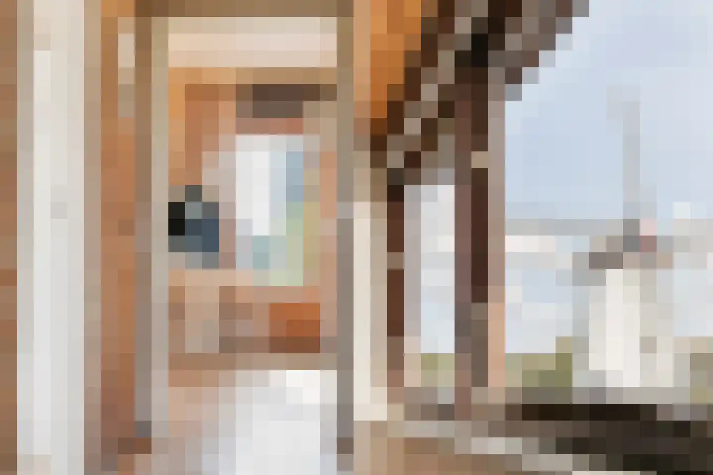 Molenweg 1 A Arnhem thumbnail 72