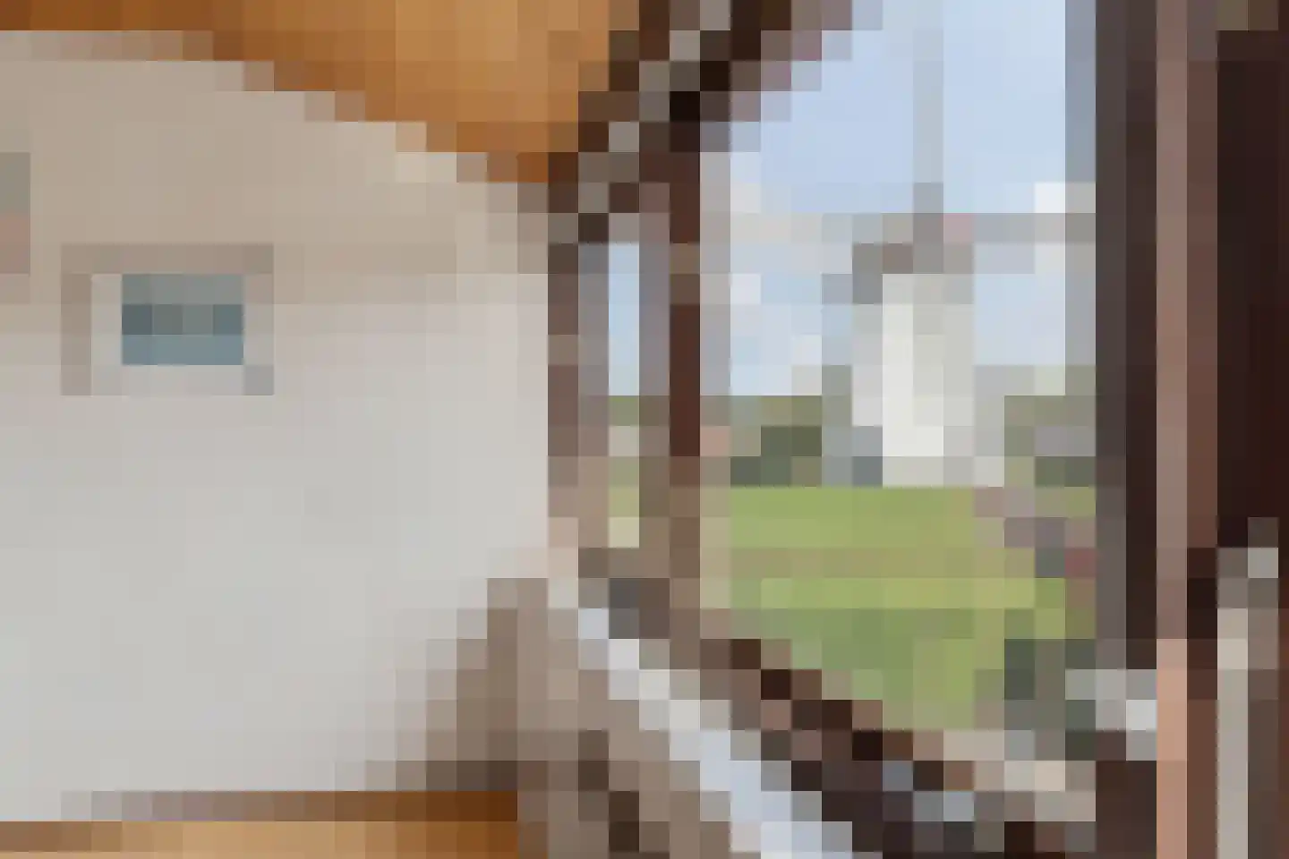 Molenweg 1 A Arnhem thumbnail 78