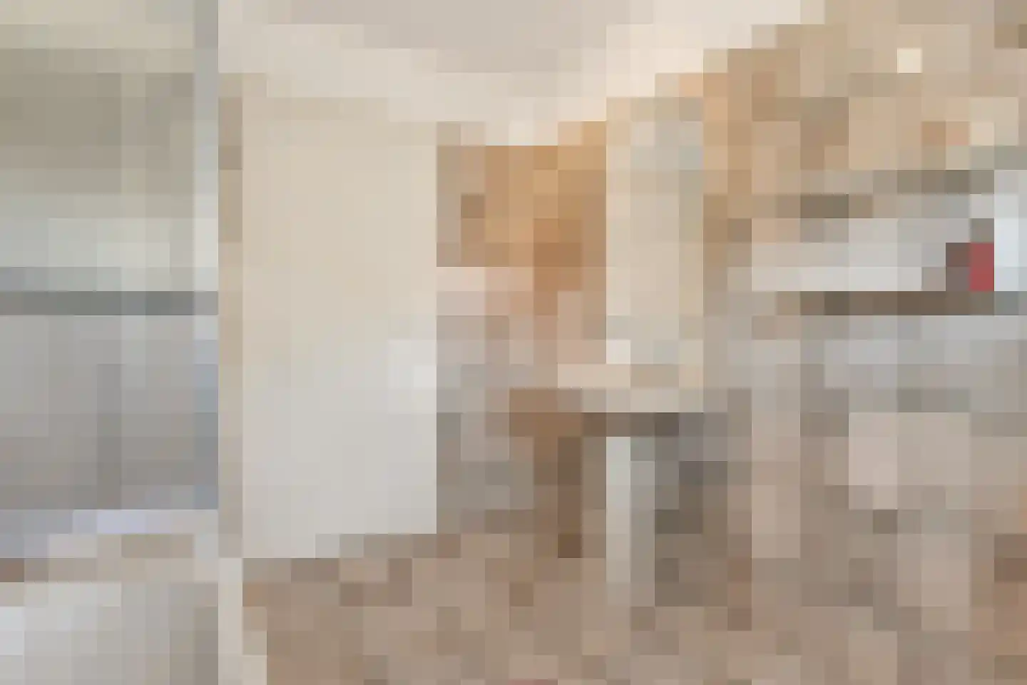 Molenweg 1 A Arnhem thumbnail 81
