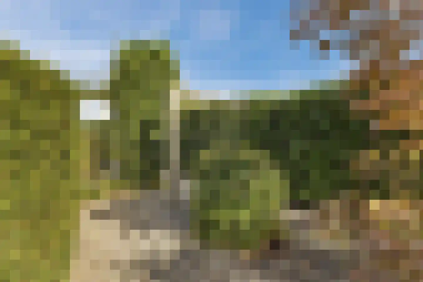 Molenweg 1 A Arnhem thumbnail 95