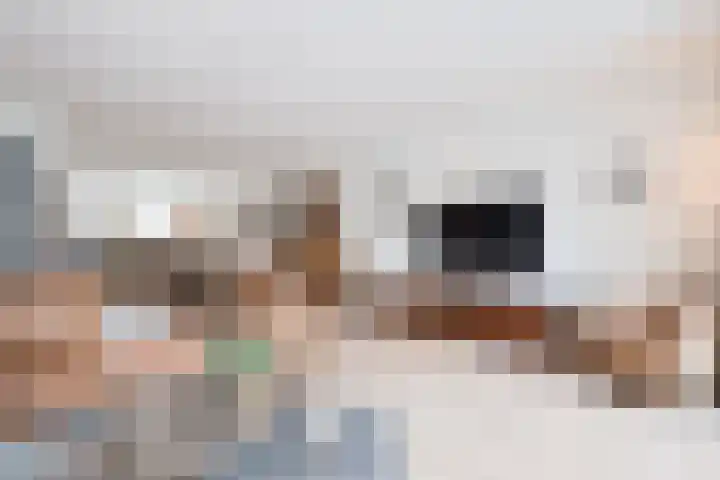 Molenweg 1 b Kilder thumbnail 11