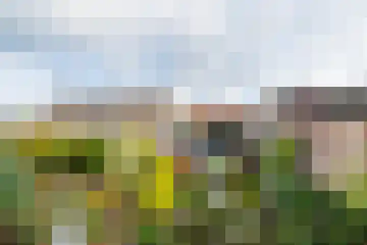 Molenweg 1 b Kilder thumbnail 30