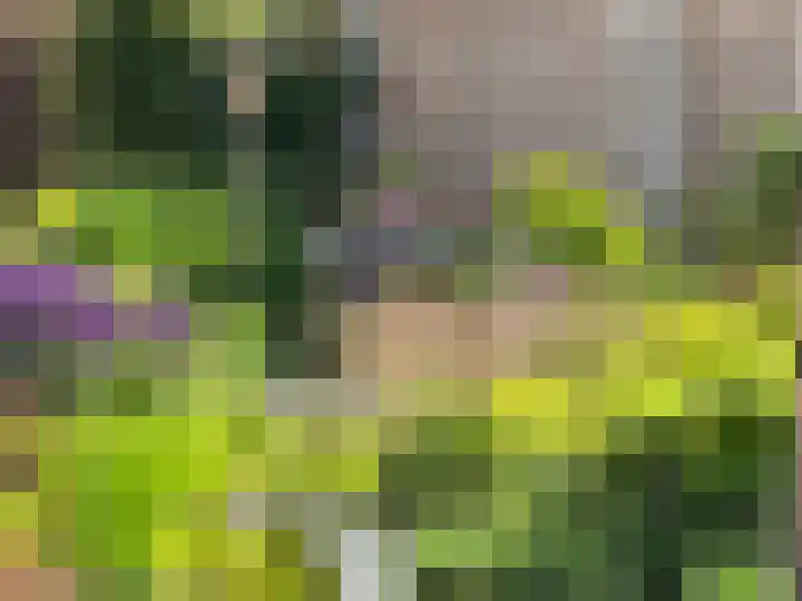 Molenweg 1 b Kilder thumbnail 31