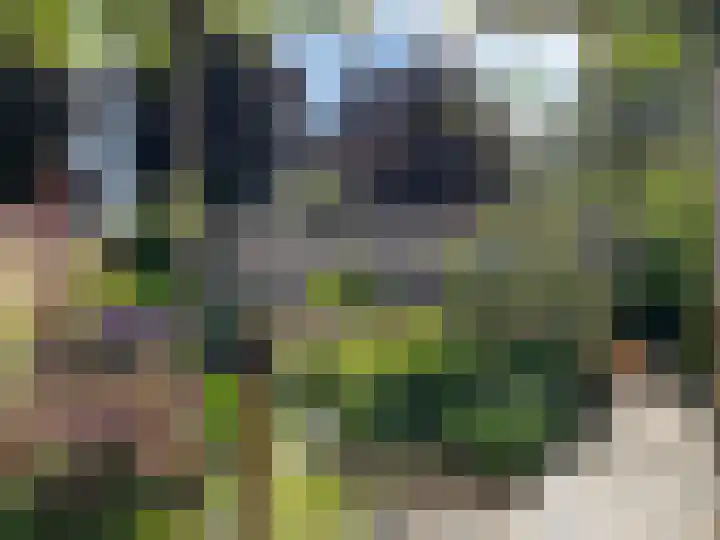 Molenweg 1 b Kilder thumbnail 32
