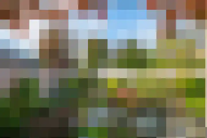 Molenweg 1 b Kilder thumbnail 33
