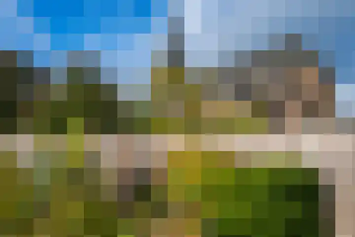 Molenweg 1 b Kilder thumbnail 34