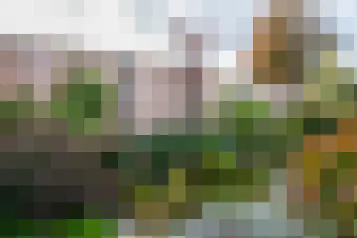 Molenweg 1 b Kilder thumbnail 35