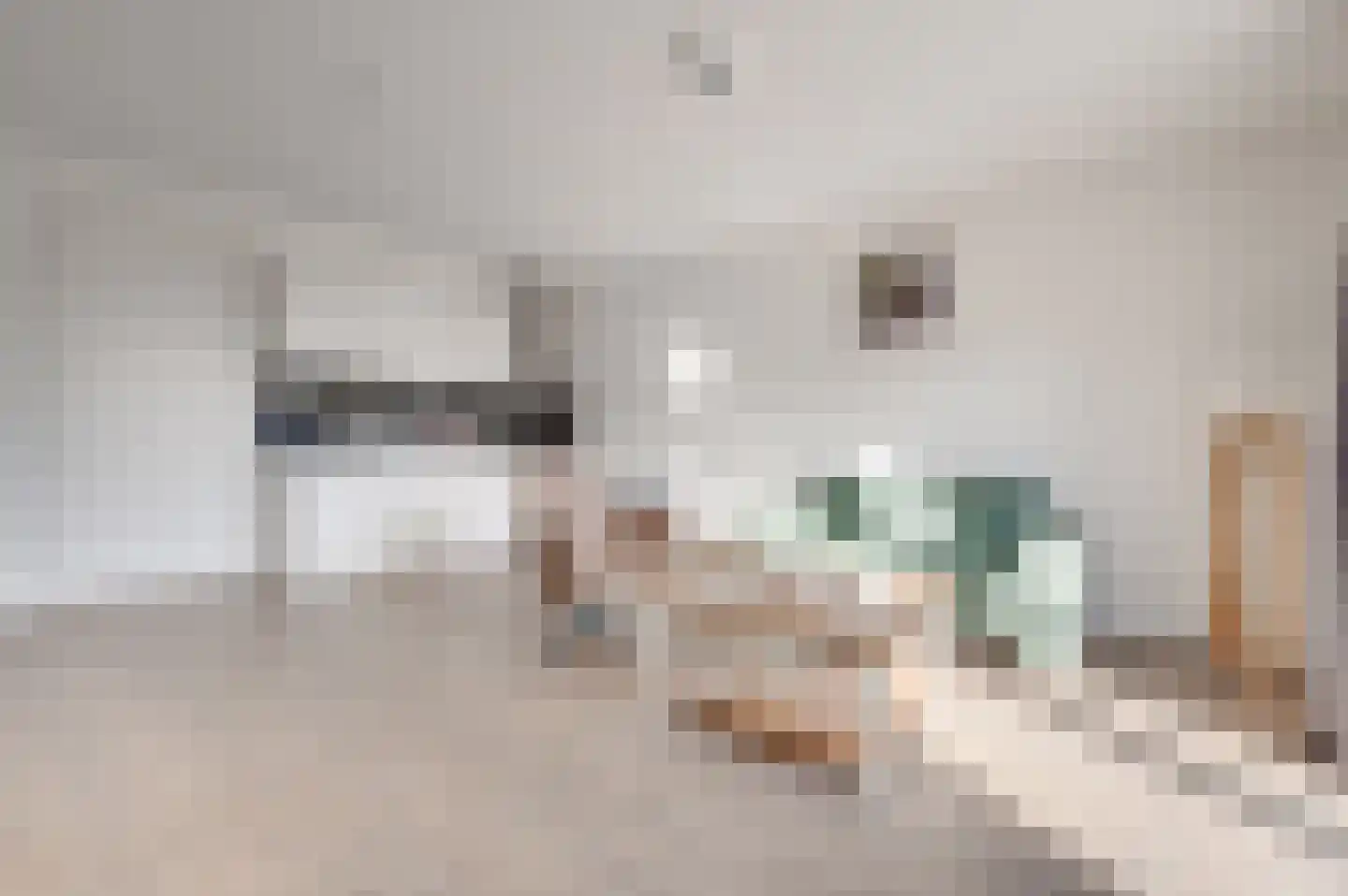 Molenweg 1 E Zoutelande thumbnail 18