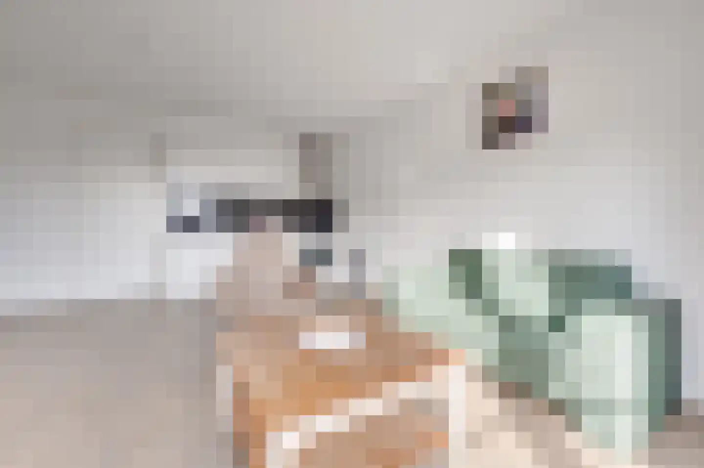 Molenweg 1 E Zoutelande thumbnail 21