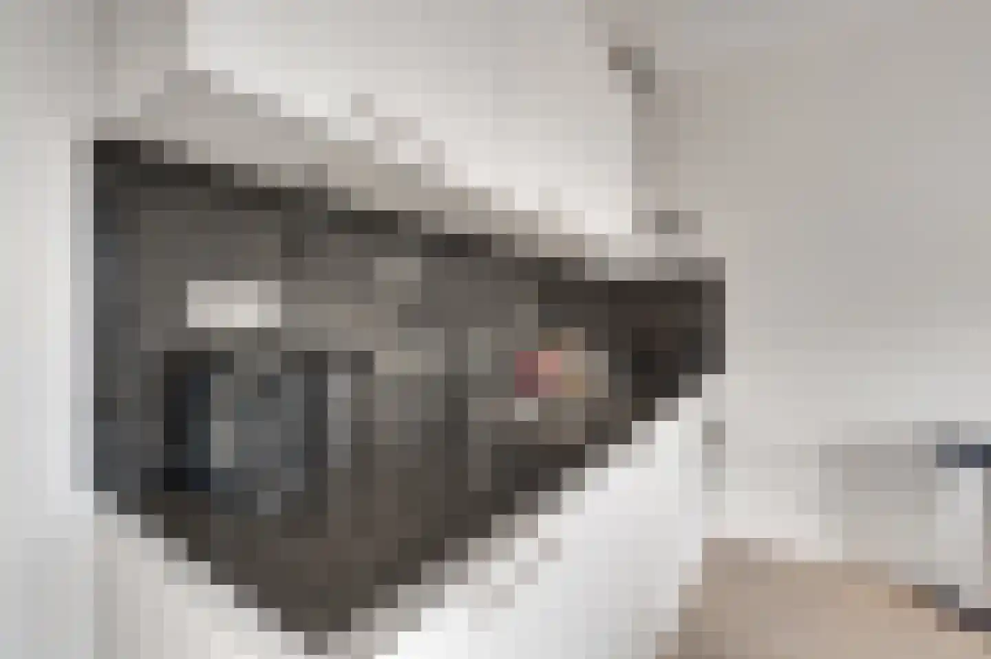 Molenweg 1 E Zoutelande thumbnail 23