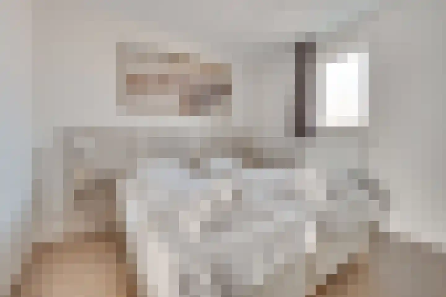 Molenweg 1 E Zoutelande thumbnail 24