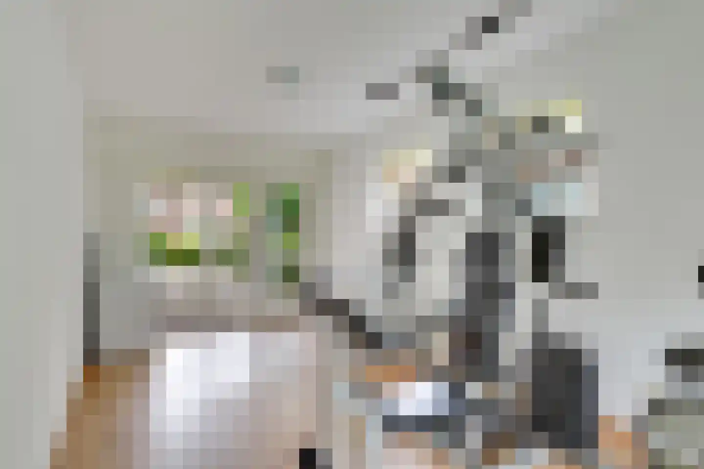 Molenweg 1 Elst Ut thumbnail 16