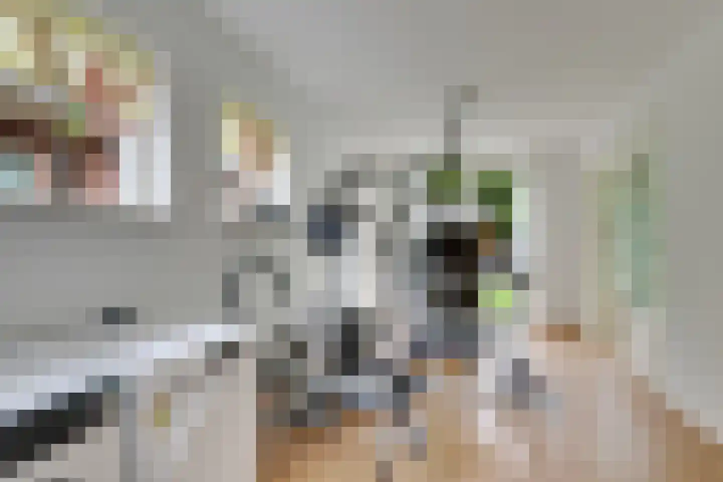 Molenweg 1 Elst Ut thumbnail 17