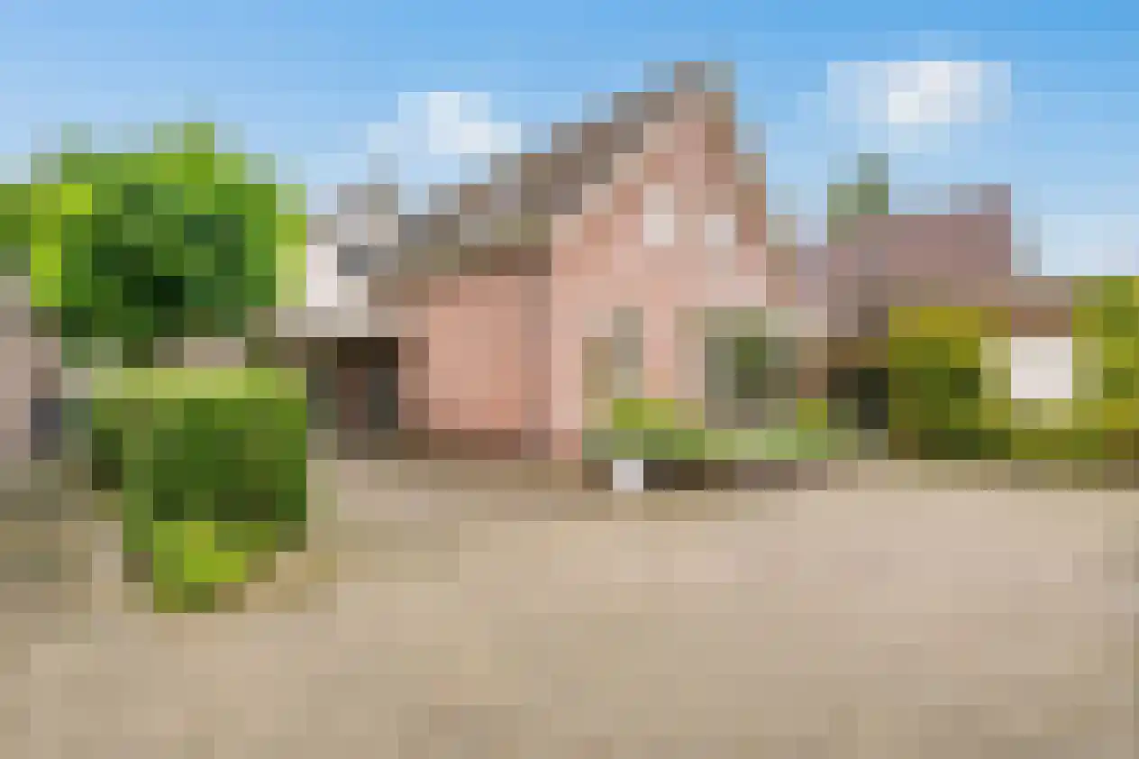 Molenweg 1 Elst Ut foto 2