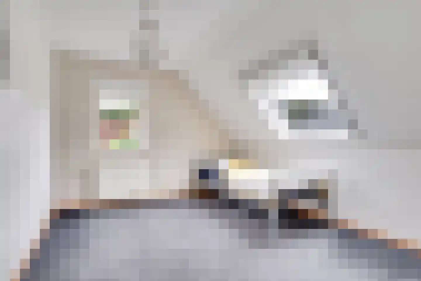 Molenweg 1 Elst Ut thumbnail 21
