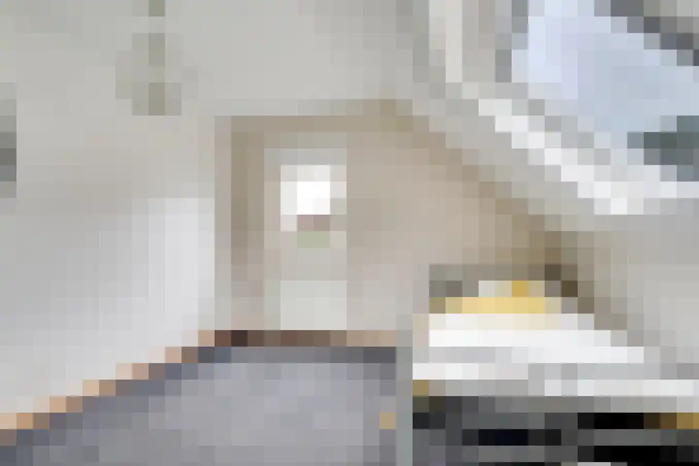Molenweg 1 Elst Ut thumbnail 22