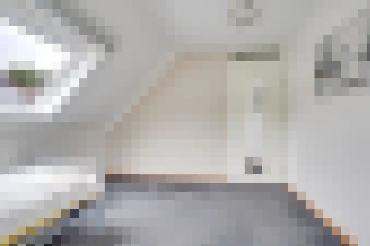 Molenweg 1 Elst Ut thumbnail 23