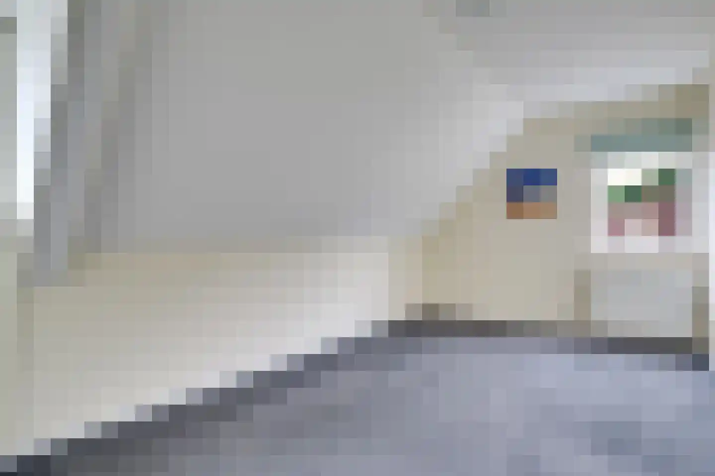 Molenweg 1 Elst Ut thumbnail 25