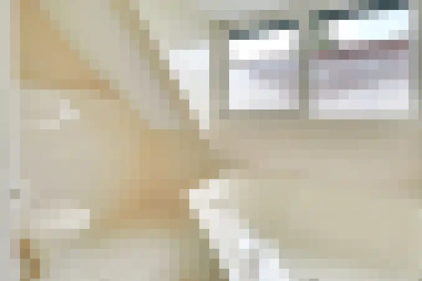 Molenweg 1 Elst Ut thumbnail 27
