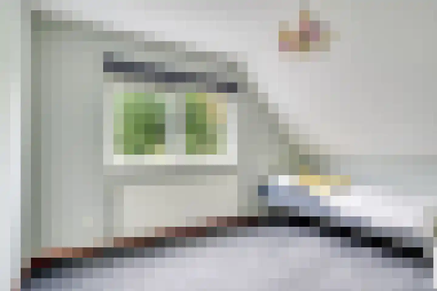 Molenweg 1 Elst Ut thumbnail 29