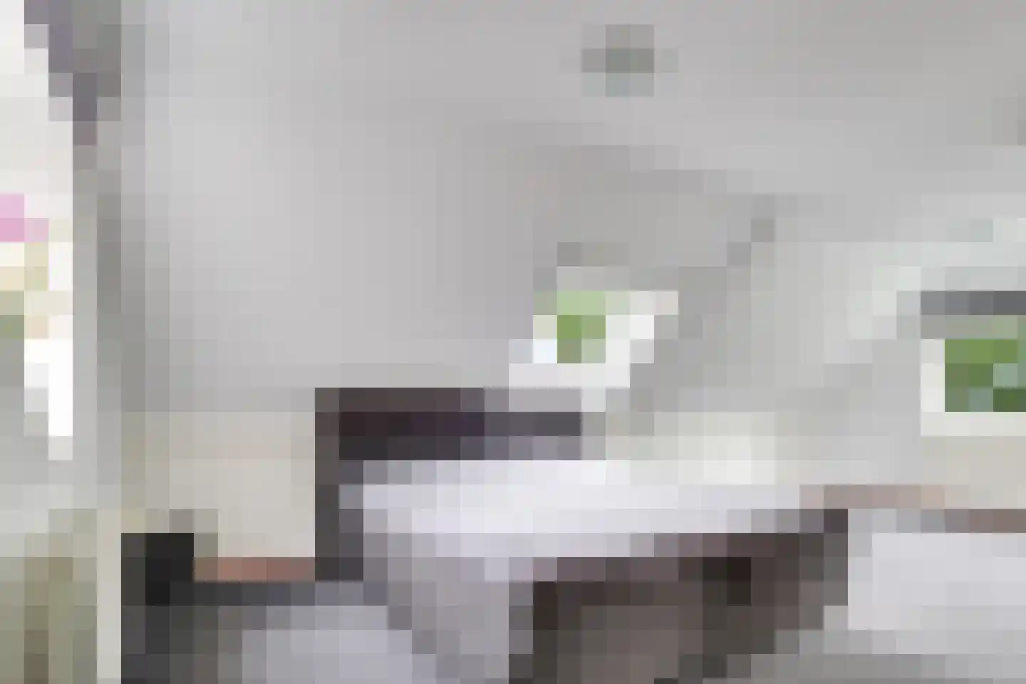 Molenweg 1 Elst Ut thumbnail 30