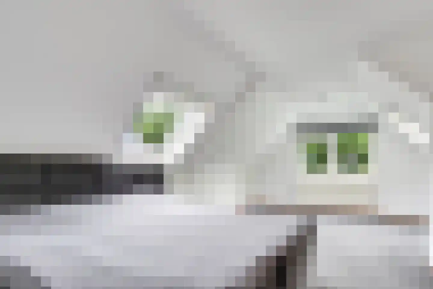 Molenweg 1 Elst Ut thumbnail 31