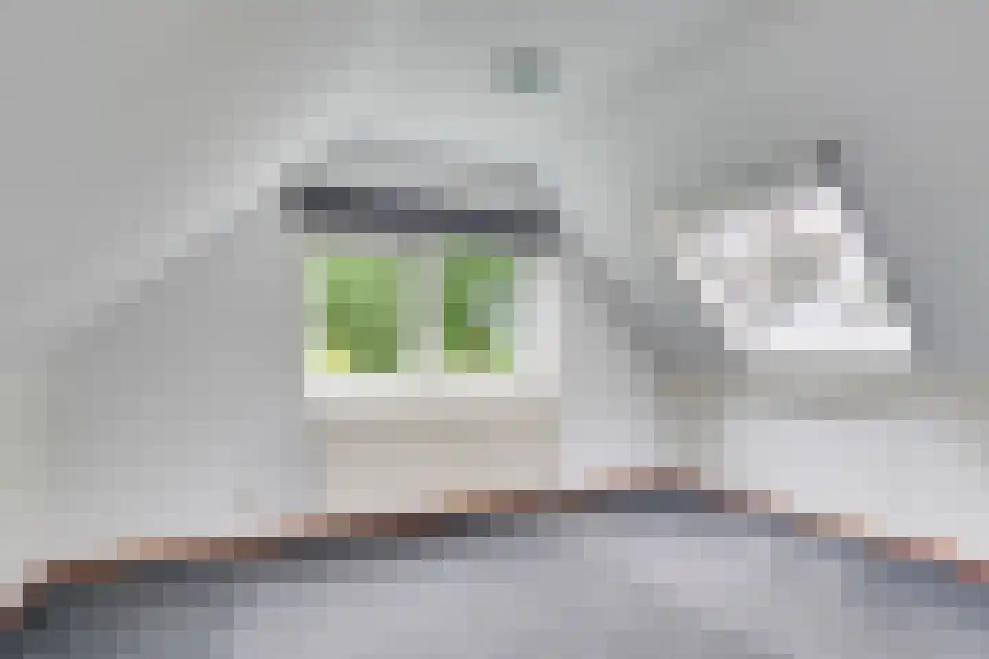 Molenweg 1 Elst Ut thumbnail 32
