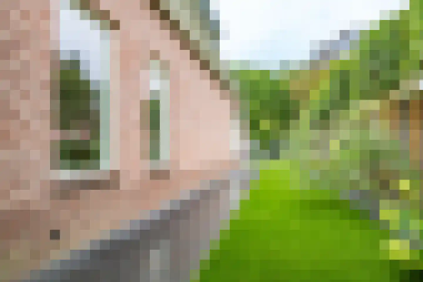 Molenweg 1 Elst Ut thumbnail 36
