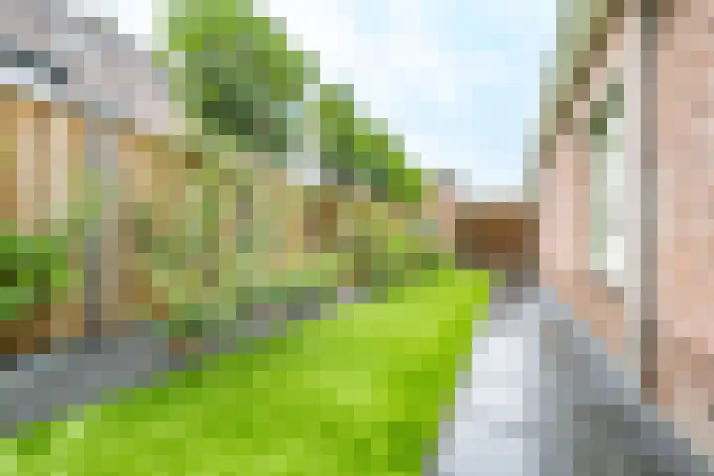 Molenweg 1 Elst Ut thumbnail 38