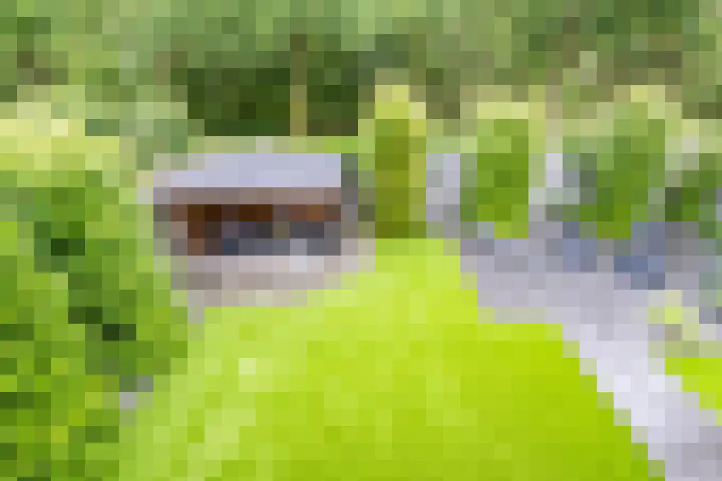 Molenweg 1 Elst Ut thumbnail 39