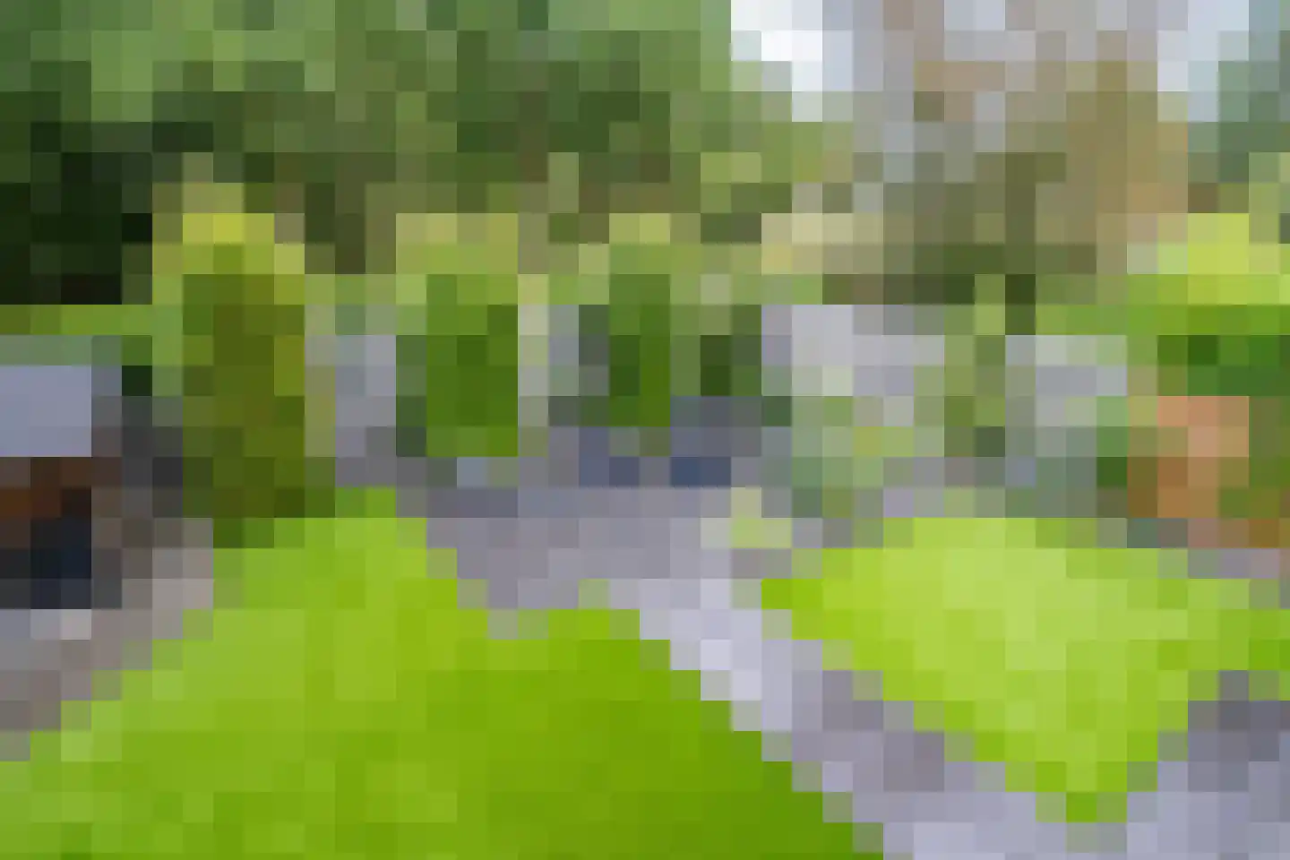 Molenweg 1 Elst Ut thumbnail 40
